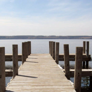 Newsletters: Network News