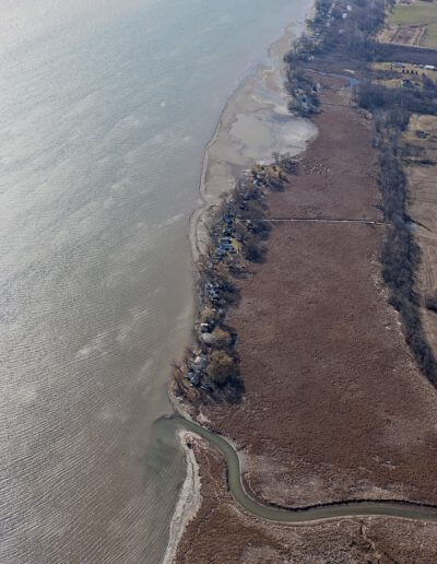 Canoga Marsh and Creek- Bill Hecht