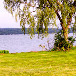 Smart Steps for Clean Water: Lakeshore Living