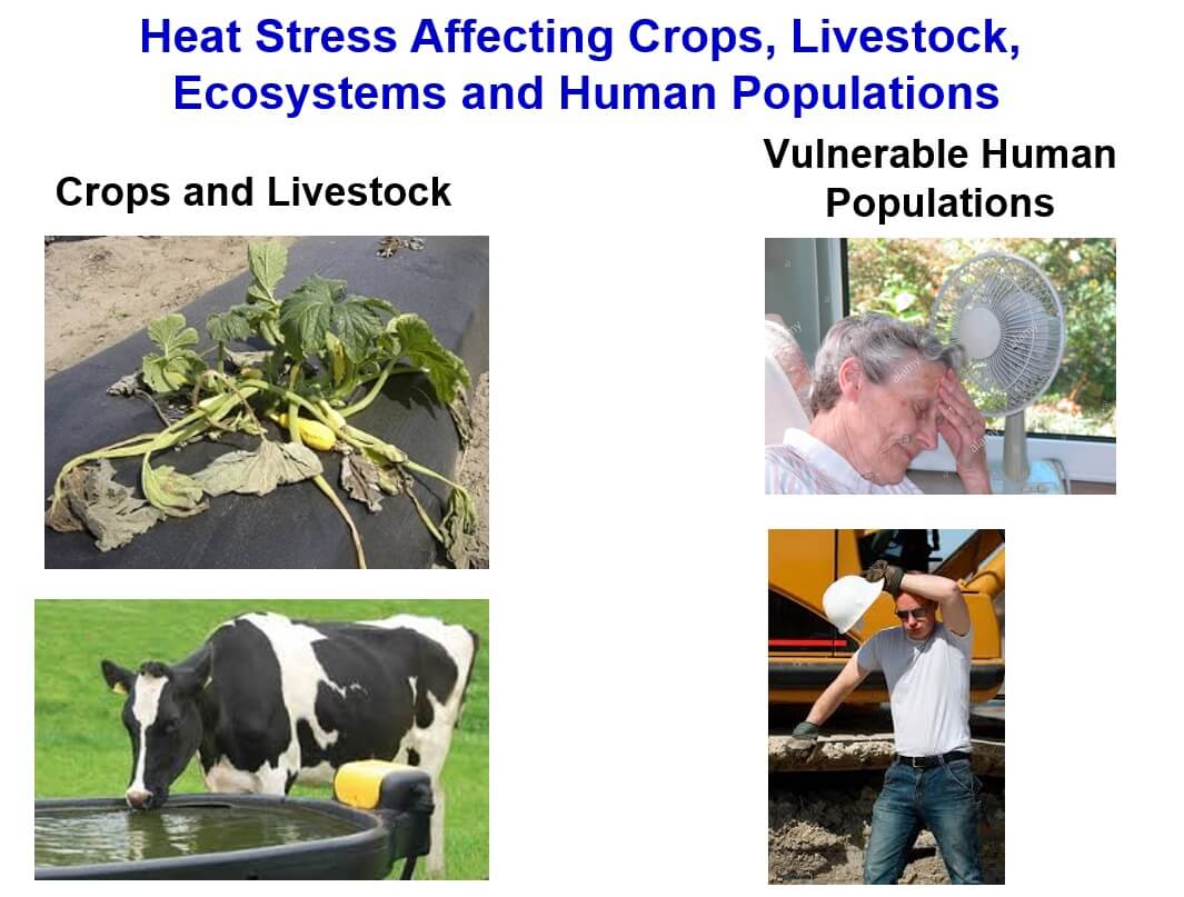 Climate-Temp_slide Temperature and Climate Change