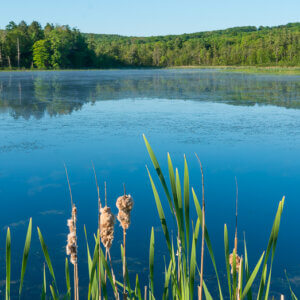 Become a Business/Organization Member