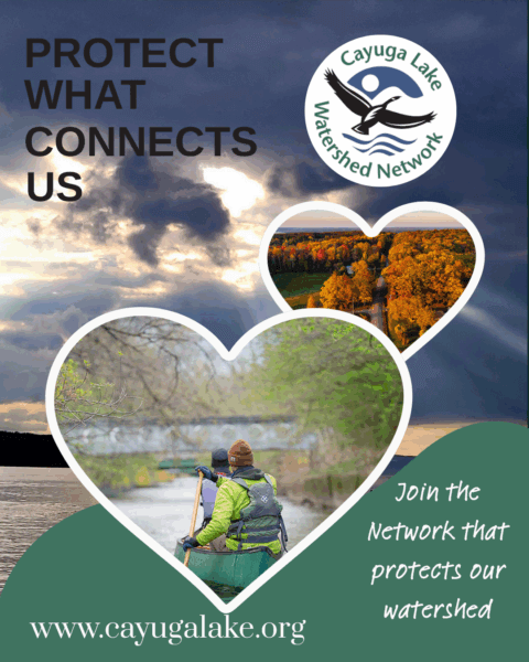 EOYCampaign_WebsiteSocialGraphic_2025