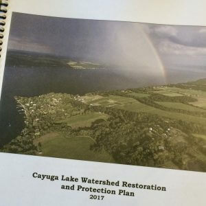 Restoration & Protection Plan