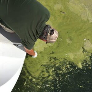 Cayuga Lake HABs Monitoring Program