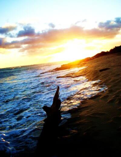 Leilani Yasutake 1st place Sunset