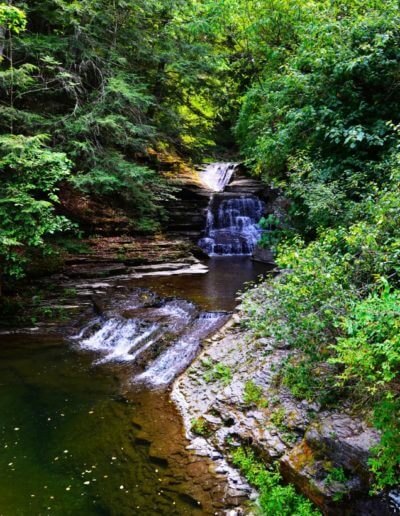 Tim Frazier 2nd Place Seasonal